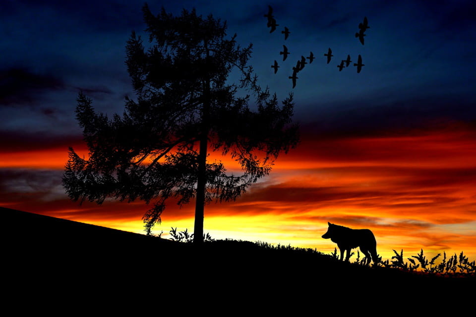 景观设计节点效果图,景观设计方案图